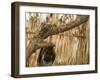 A Sudanese Girl Plays Inside a Thatched Hut at the Refugee Camp of Zamzam-null-Framed Photographic Print