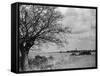 A Suffolk (England) Landscape, Near Blythburgh, with its Church Tower in the Distance-null-Framed Stretched Canvas