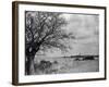 A Suffolk (England) Landscape, Near Blythburgh, with its Church Tower in the Distance-null-Framed Photographic Print