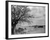 A Suffolk (England) Landscape, Near Blythburgh, with its Church Tower in the Distance-null-Framed Photographic Print