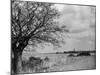 A Suffolk (England) Landscape, Near Blythburgh, with its Church Tower in the Distance-null-Mounted Photographic Print