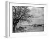 A Suffolk (England) Landscape, Near Blythburgh, with its Church Tower in the Distance-null-Framed Photographic Print