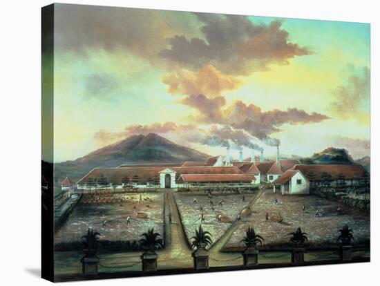 A Sugar Plantation in the South of Trinidad, circa 1850-C. Bauer-Stretched Canvas