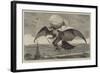 A Suggestion for a Flying Machine-null-Framed Giclee Print