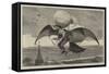 A Suggestion for a Flying Machine-null-Framed Stretched Canvas