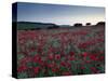 A Summer Dawn in the North Norfolk Countryside Near Burnham Market, Norfolk, England, Uk-Jon Gibbs-Stretched Canvas