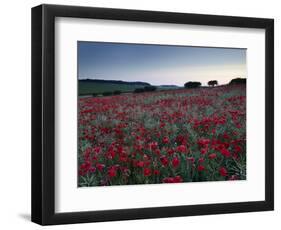 A Summer Dawn in the North Norfolk Countryside Near Burnham Market, Norfolk, England, Uk-Jon Gibbs-Framed Photographic Print