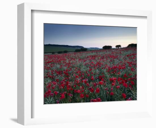 A Summer Dawn in the North Norfolk Countryside Near Burnham Market, Norfolk, England, Uk-Jon Gibbs-Framed Photographic Print