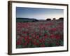 A Summer Dawn in the North Norfolk Countryside Near Burnham Market, Norfolk, England, Uk-Jon Gibbs-Framed Photographic Print