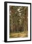 A Summer Day, Merikiul, 1895-Ivan Ivanovich Shishkin-Framed Giclee Print