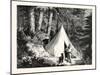 A Summer Encampment in a North Pacific Forest: Copper Mountain-null-Mounted Giclee Print