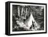 A Summer Encampment in a North Pacific Forest: Copper Mountain-null-Framed Stretched Canvas