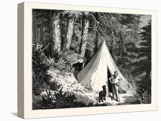 A Summer Encampment in a North Pacific Forest: Copper Mountain-null-Stretched Canvas