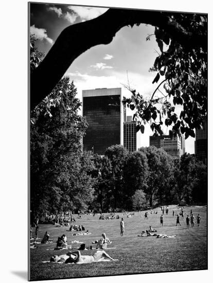 A Summer in Central Park, Manhattan, New York City, Black and White Photography-Philippe Hugonnard-Mounted Premium Photographic Print