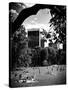 A Summer in Central Park, Manhattan, New York City, Black and White Photography-Philippe Hugonnard-Stretched Canvas