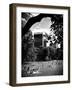 A Summer in Central Park, Manhattan, New York City, Black and White Photography-Philippe Hugonnard-Framed Photographic Print