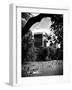 A Summer in Central Park, Manhattan, New York City, Black and White Photography-Philippe Hugonnard-Framed Photographic Print