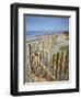 A Summer Morning on the Beach at Walberswick, Suffolk, England, United Kingdom, Europe-Jon Gibbs-Framed Photographic Print