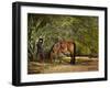 A Summer Place-Barry Hart-Framed Giclee Print