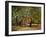 A Summer Place-Barry Hart-Framed Giclee Print