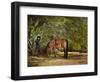 A Summer Place-Barry Hart-Framed Art Print