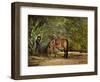 A Summer Place-Barry Hart-Framed Art Print