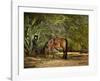 A Summer Place-Barry Hart-Framed Art Print