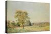 A Summer's Day-Alfred Sisley-Stretched Canvas