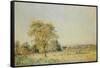 A Summer's Day-Alfred Sisley-Framed Stretched Canvas