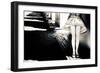 A Summer's Tale-Piet Flour-Framed Photographic Print