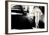 A Summer's Tale-Piet Flour-Framed Photographic Print