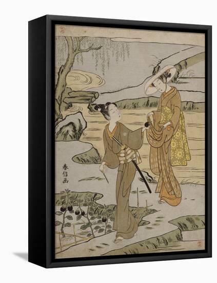 A Summer Scene on a Raised Embankment of a Young Man Cutting an Aubergine to Give to His Young…-Suzuki Harunobu-Framed Stretched Canvas