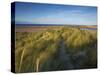 A Summer View of the Barrier Island Scolt Head Island, Norfolk, England, United Kingdom, Europe-Jon Gibbs-Stretched Canvas