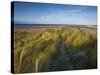 A Summer View of the Barrier Island Scolt Head Island, Norfolk, England, United Kingdom, Europe-Jon Gibbs-Stretched Canvas