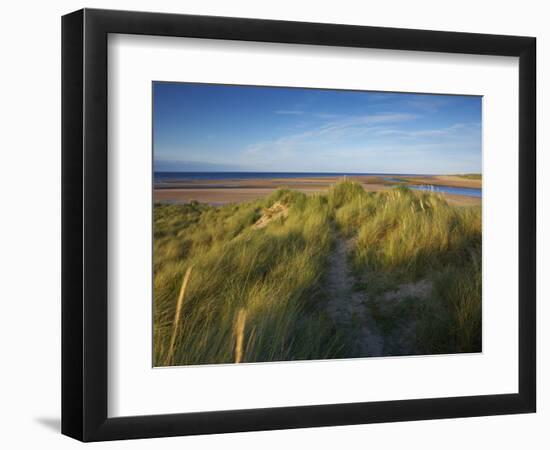 A Summer View of the Barrier Island Scolt Head Island, Norfolk, England, United Kingdom, Europe-Jon Gibbs-Framed Photographic Print