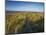 A Summer View of the Barrier Island Scolt Head Island, Norfolk, England, United Kingdom, Europe-Jon Gibbs-Mounted Photographic Print