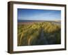 A Summer View of the Barrier Island Scolt Head Island, Norfolk, England, United Kingdom, Europe-Jon Gibbs-Framed Photographic Print