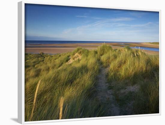 A Summer View of the Barrier Island Scolt Head Island, Norfolk, England, United Kingdom, Europe-Jon Gibbs-Framed Photographic Print