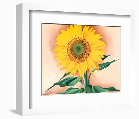 A Sunflower from Maggie, 1937-Georgia O'Keeffe-Framed Art Print