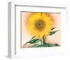 A Sunflower from Maggie, 1937-Georgia O'Keeffe-Framed Art Print