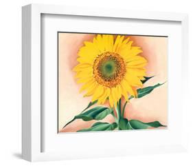 A Sunflower from Maggie, 1937-Georgia O'Keeffe-Framed Art Print