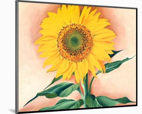 A Sunflower from Maggie, 1937-Georgia O'Keeffe-Mounted Art Print