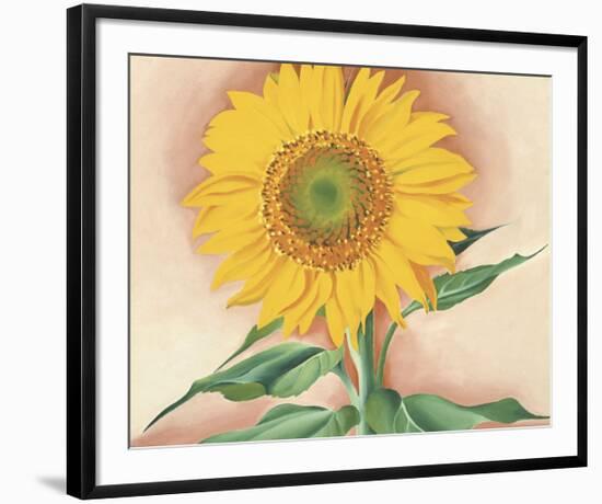 A Sunflower from Maggie, 1937-Georgia O'Keeffe-Framed Art Print