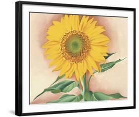 A Sunflower from Maggie, 1937-Georgia O'Keeffe-Framed Art Print