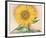 A Sunflower from Maggie, 1937-Georgia O'Keeffe-Framed Art Print