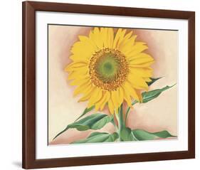 A Sunflower from Maggie, 1937-Georgia O'Keeffe-Framed Art Print