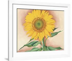 A Sunflower from Maggie, 1937-Georgia O'Keeffe-Framed Art Print