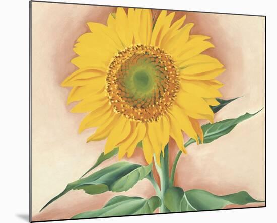 A Sunflower from Maggie, 1937-Georgia O'Keeffe-Mounted Art Print