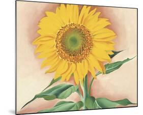 A Sunflower from Maggie, 1937-Georgia O'Keeffe-Mounted Art Print