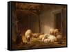 A Sunlit Barn with Ewes, Lambs and Chickens-Eugene Joseph Verboeckhoven-Framed Stretched Canvas